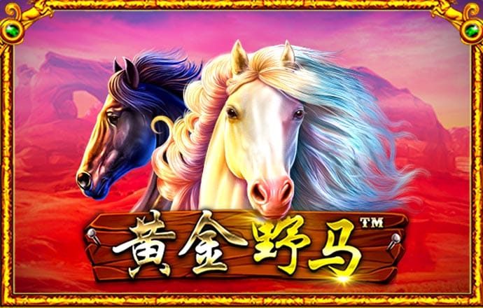 艾尚体育官网登录不了